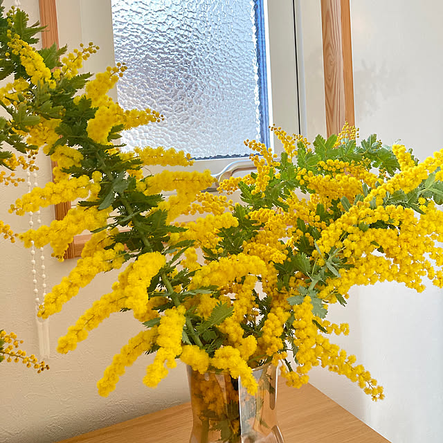 bestwishes.ryokoさんの部屋