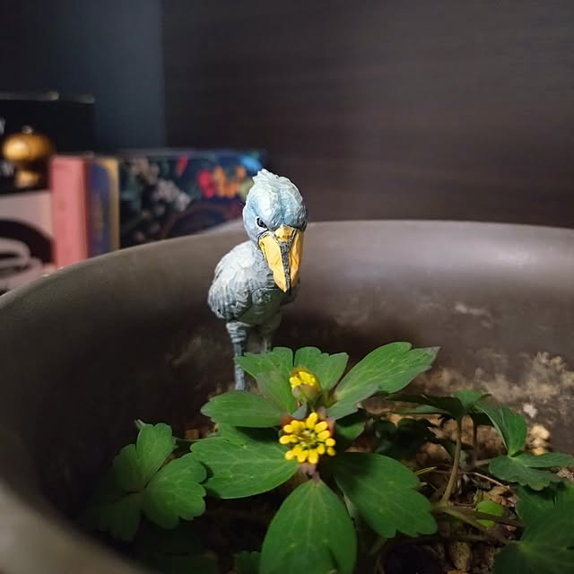 NOAHさんの部屋