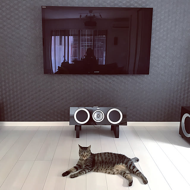 ringonecoさんの実例写真