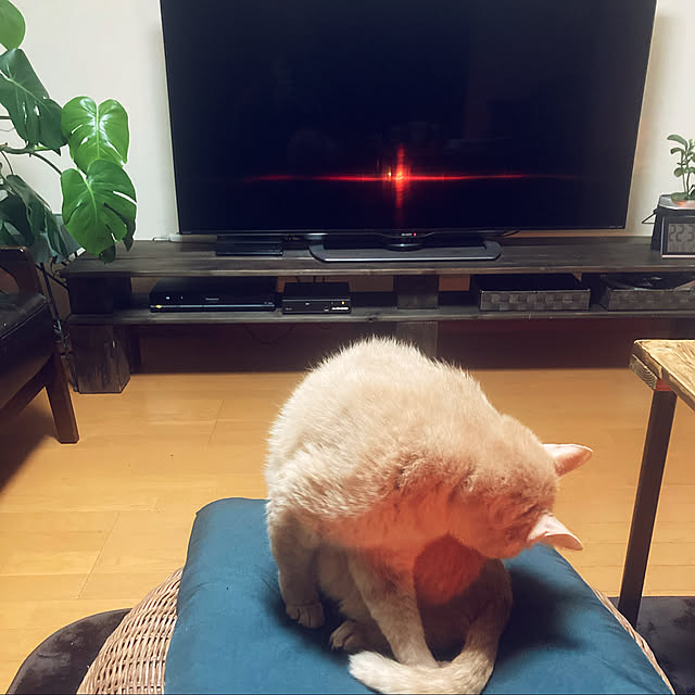mikan161さんの実例写真