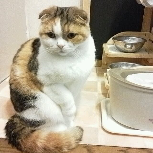 mikiさんの実例写真