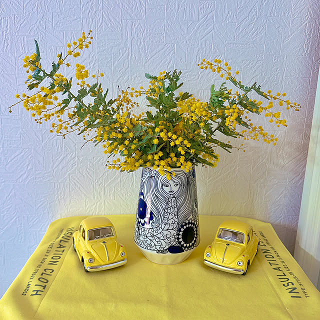 miyuさんの実例写真