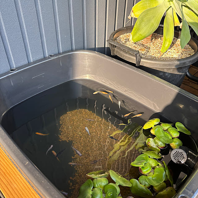 Mocaさんの部屋