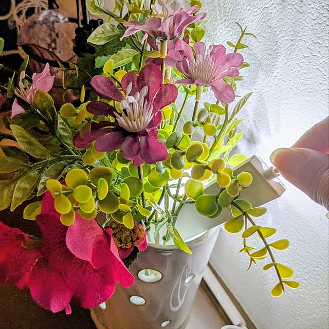 mi-saさんの部屋