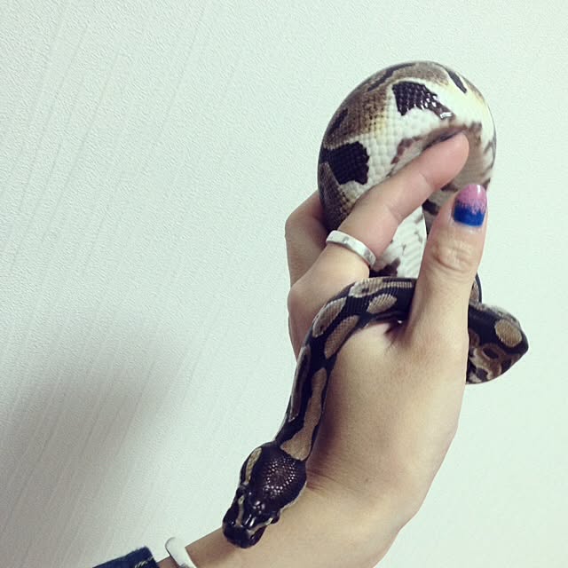 Chikaさんの実例写真