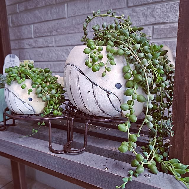 mocomocoさんの部屋