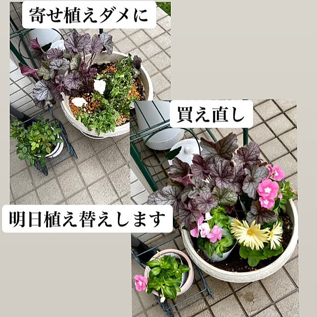 YuuKoさんの実例写真