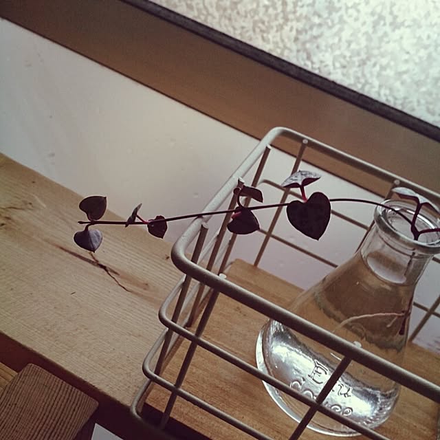 miporin0711さんの実例写真