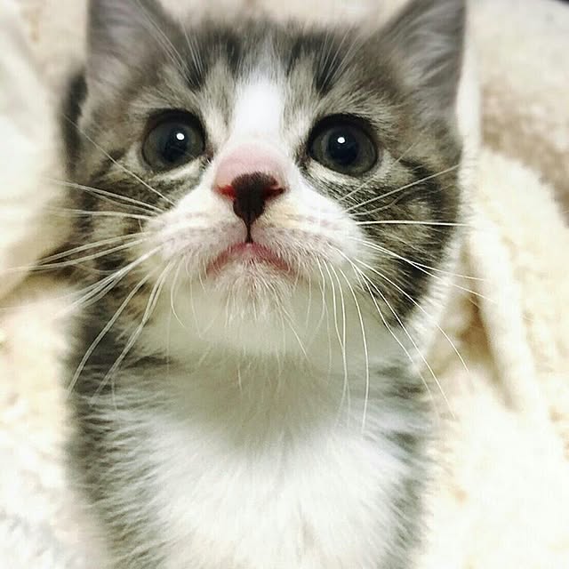 Reiさんの実例写真