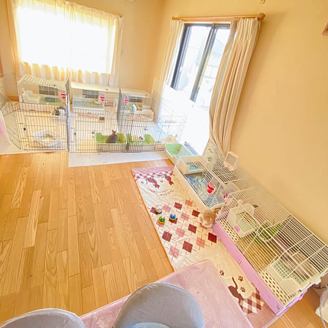 prelumoの-イージーホーム80用樹脂休足フロアー 半面2枚セット 854 SANKO(三晃/サンコー)の家具・インテリア写真