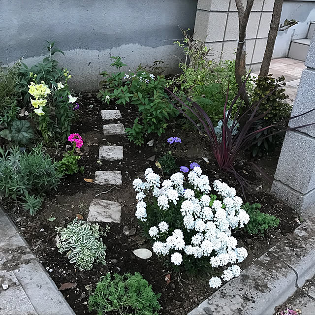 yoshi21さんの実例写真