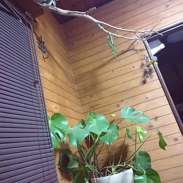Ayakoさんの実例写真