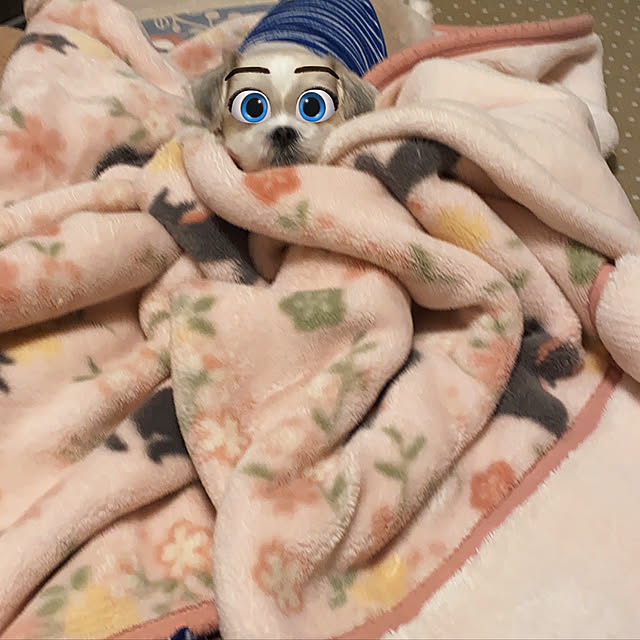 emiさんの実例写真