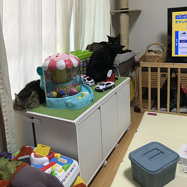 yuki0511さんの実例写真