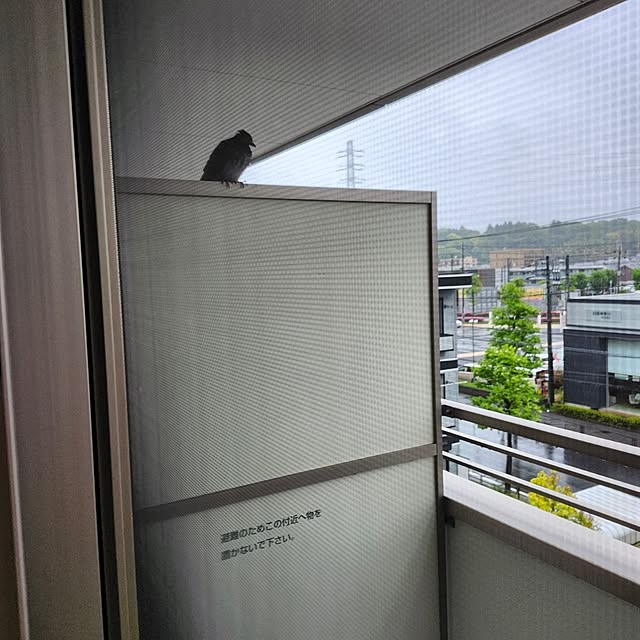 go-chanさんの実例写真