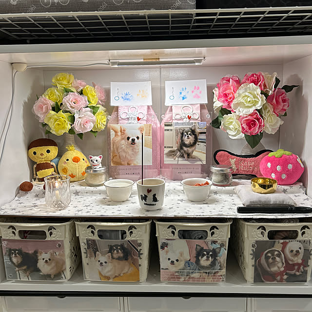 meguさんの実例写真