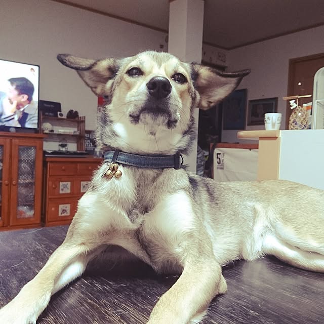 andさんの実例写真