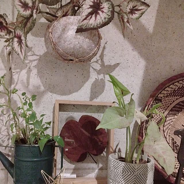 okameさんの部屋