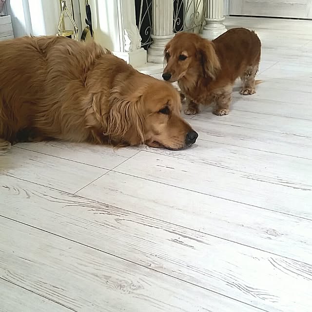 K.S.Rさんの実例写真