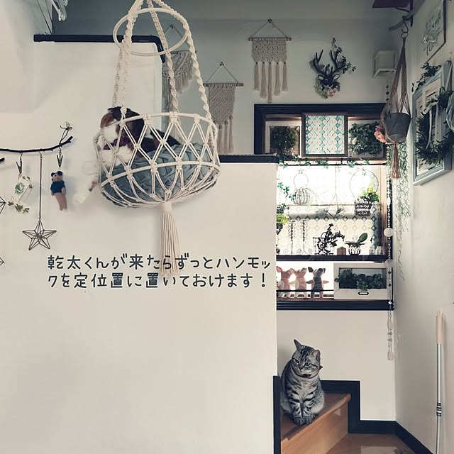 hiro3さんの部屋