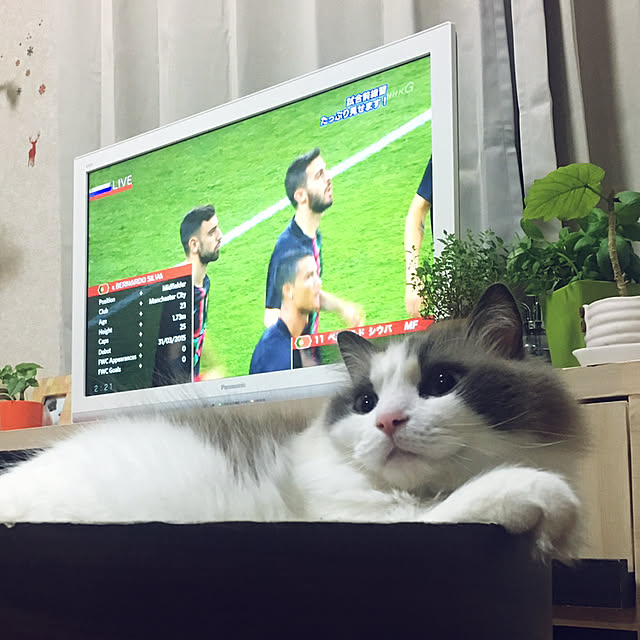 mimimillyさんの実例写真