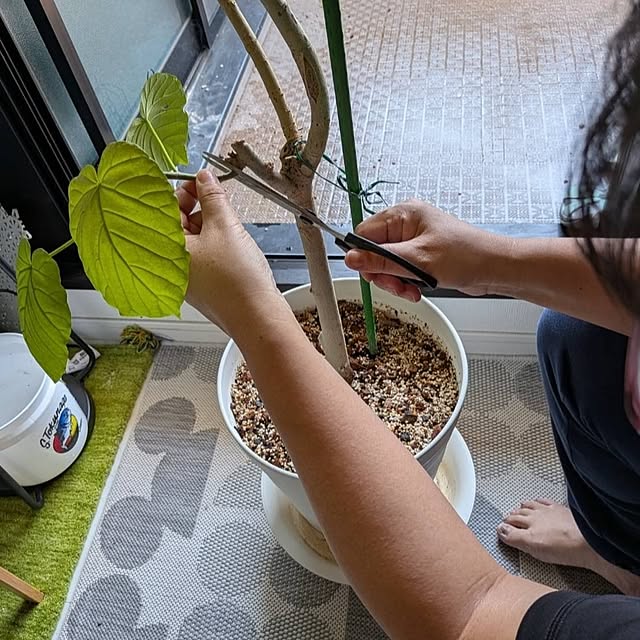 kolo92さんの部屋