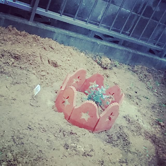fam.genki.eriさんの実例写真