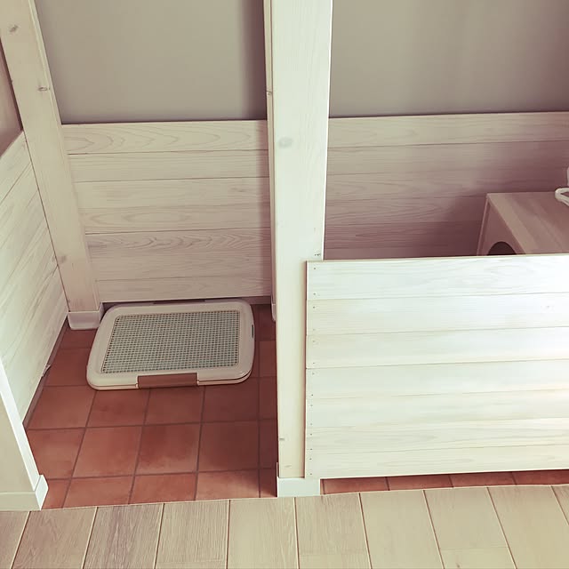 chumiさんの実例写真