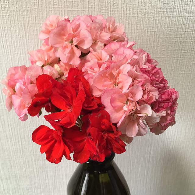 Ryokoさんの実例写真