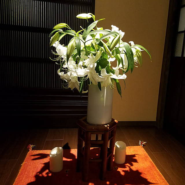 実例写真