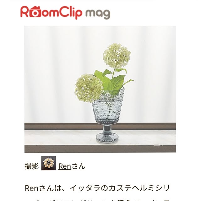 Renさんの実例写真