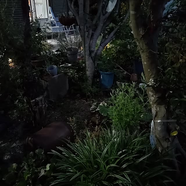 salacocoさんの部屋