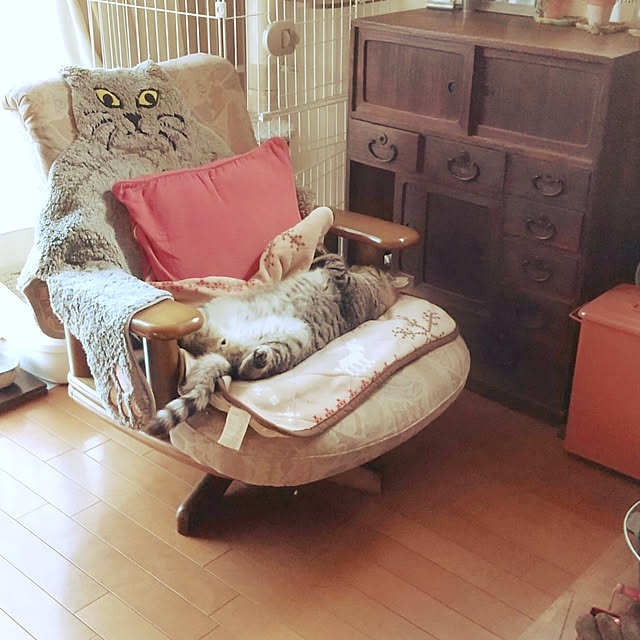 komgi12さんの実例写真