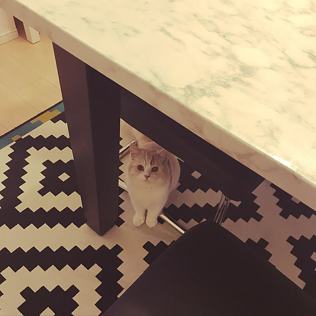 H.Tさんの実例写真