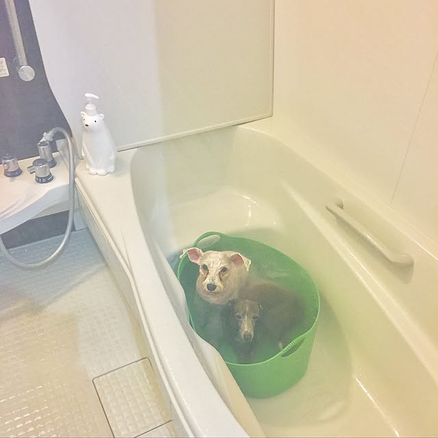 suzyさんの実例写真