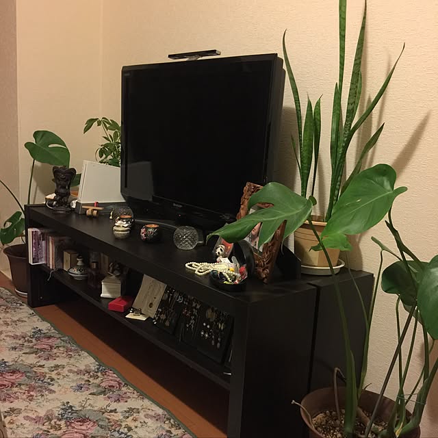 kuutanさんの実例写真