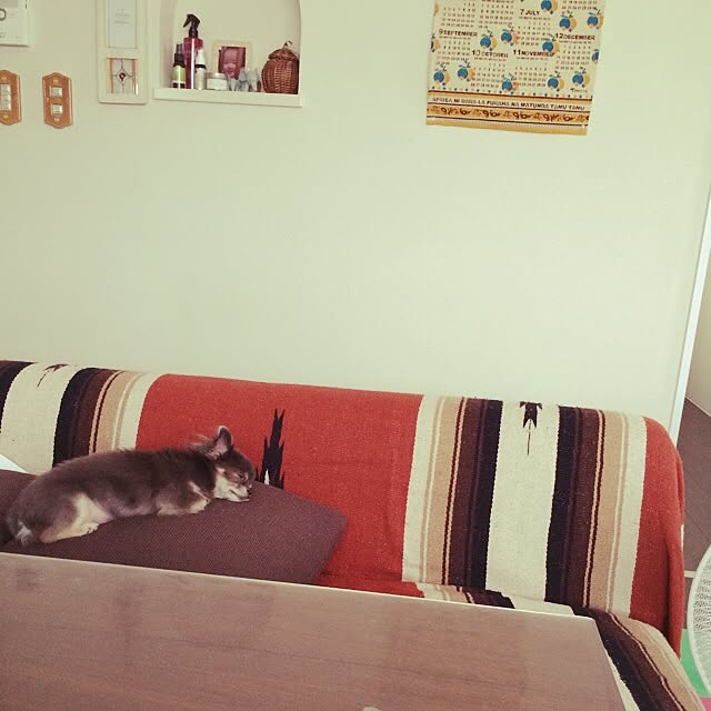 haruさんの実例写真