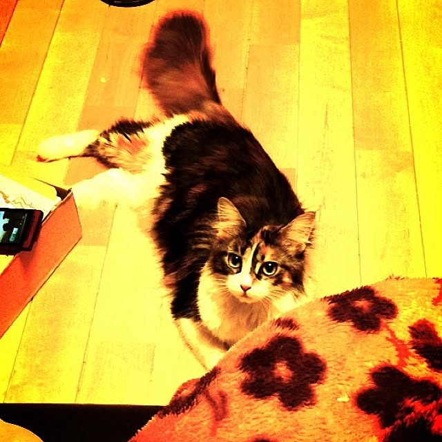 Realiser_son_reveさんの実例写真