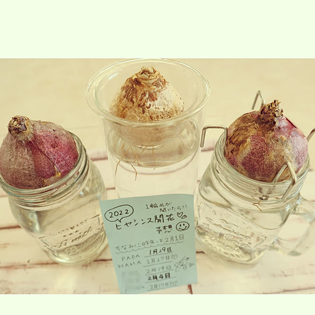 S.homeさんの実例写真