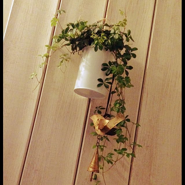 玄関/入り口のインテリア実例 - 2015-08-08 22:22:46