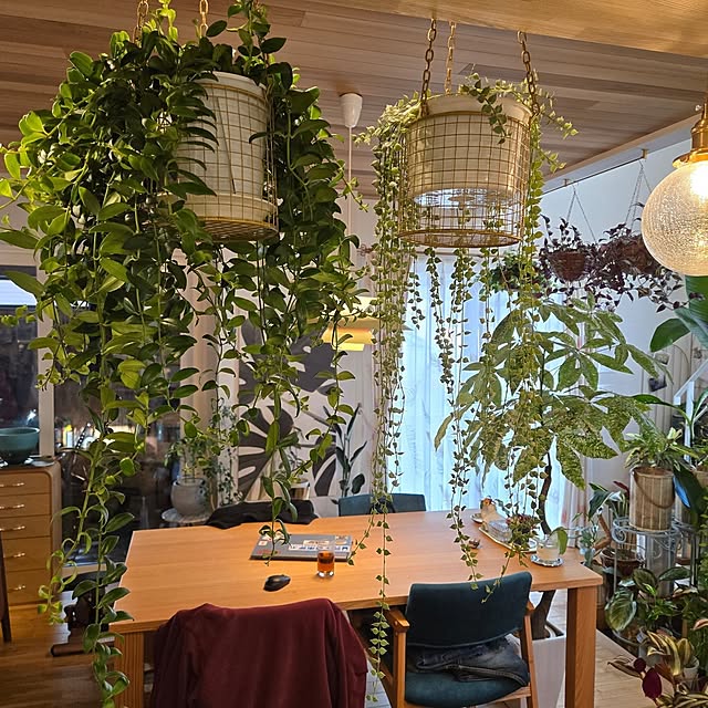 nonbiri_house_さんの部屋