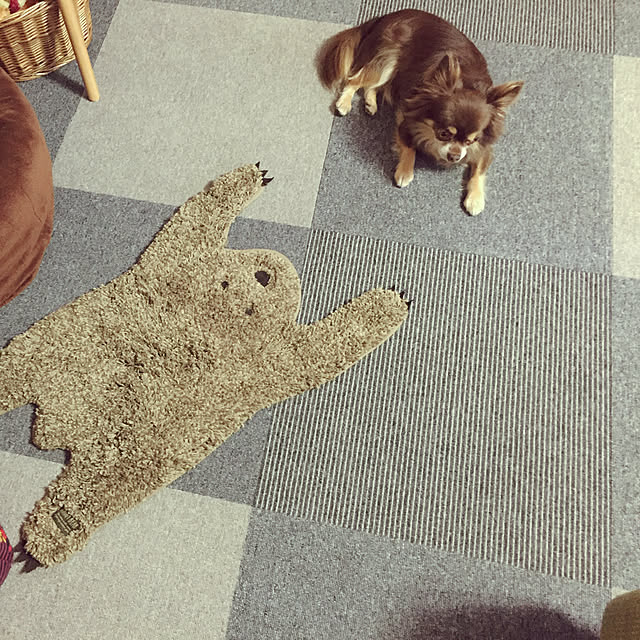 markoさんの実例写真