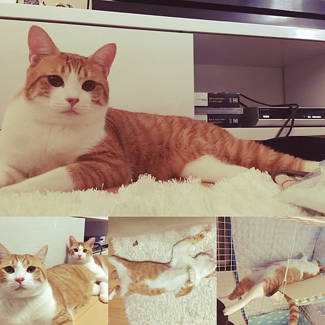 kaihazuさんの実例写真