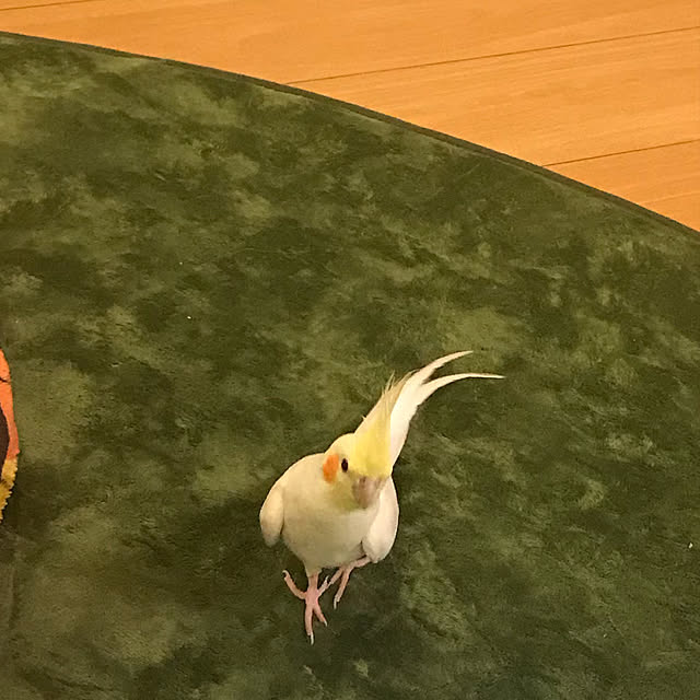 amberhouseさんの実例写真