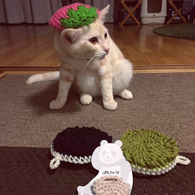 hiyupan88さんの実例写真