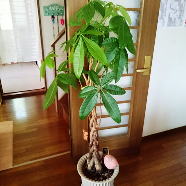 Makoさんの実例写真
