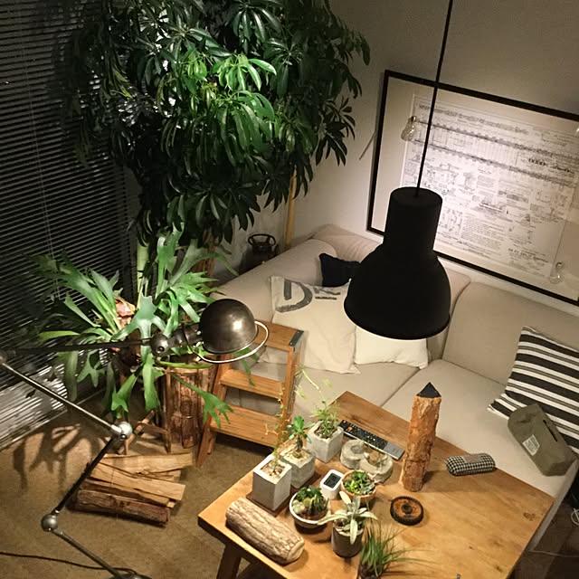 piyohopさんの実例写真