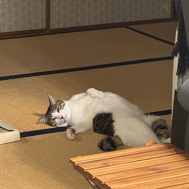 okyosan101さんの部屋