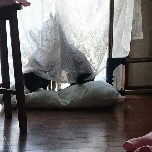 Bienvenueさんの部屋