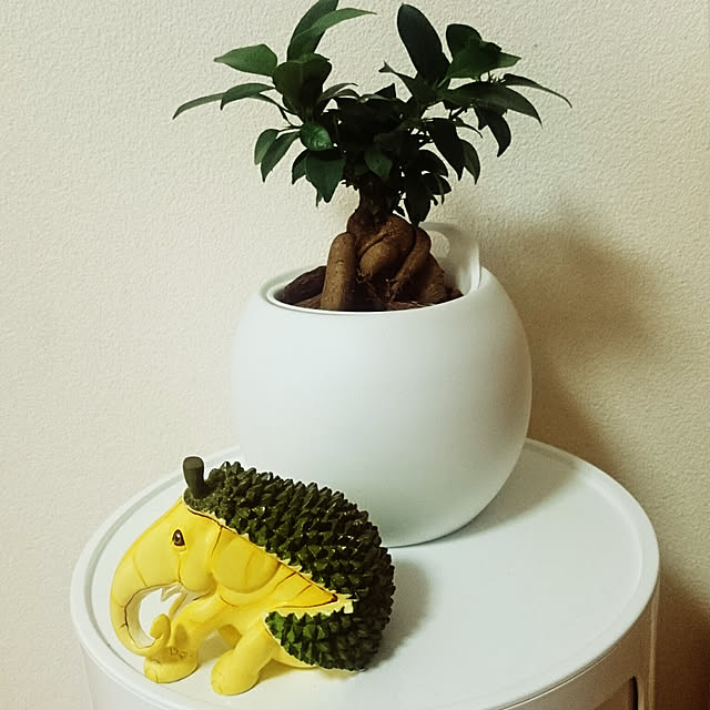 takamingさんの実例写真